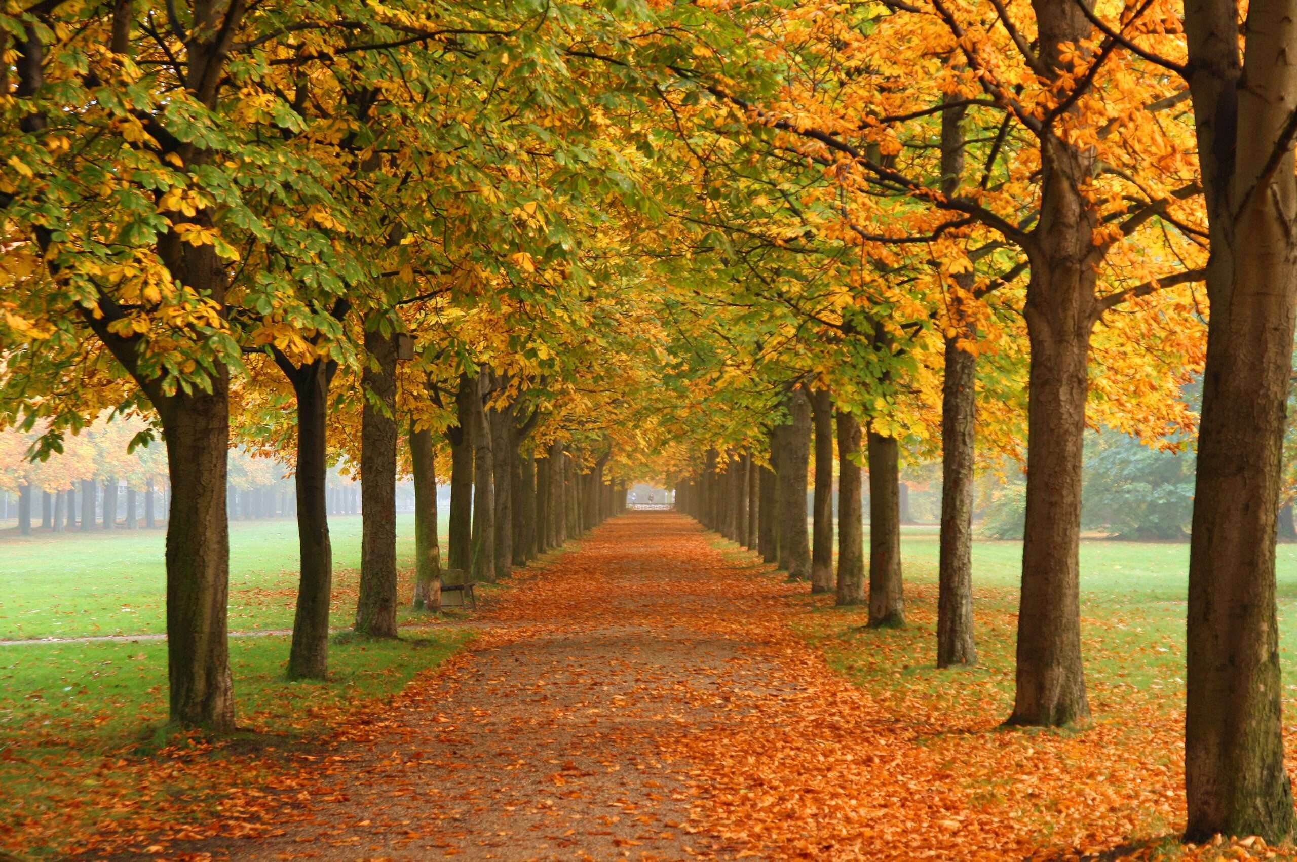 Autumn